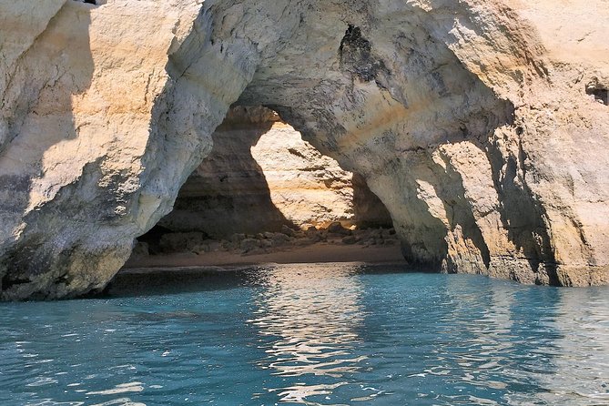 Benagil Caves Boat Cruise - Dolphin watching along the Algarve coast