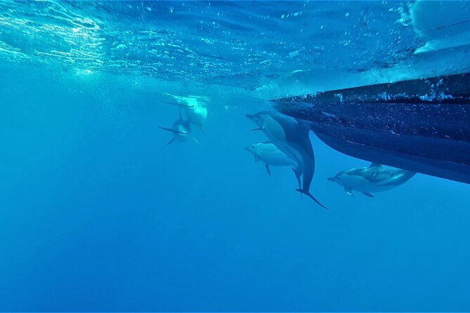 Benagil Caves Visit with Dolphins Watching from Albufeira - Entering Benagil Cave by small boat