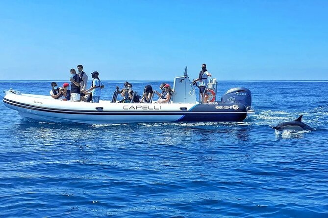Benagil Caves Visit with Dolphins Watching from Albufeira - Leaving Albufeira Marina toward Armação de Pêra