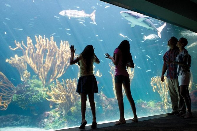 Bermuda Aquarium and Crystal Caves Admission - The Crystal Cave and Fantasy Cave wording matters