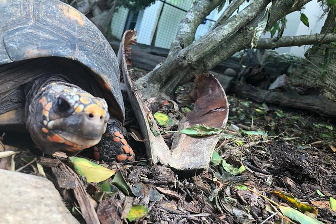 Bermuda Aquarium and Crystal Caves Admission - Is four hours enough?