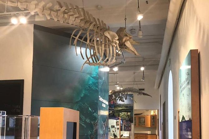 Bermuda Aquarium and Crystal Caves Admission - Who will enjoy this outing most