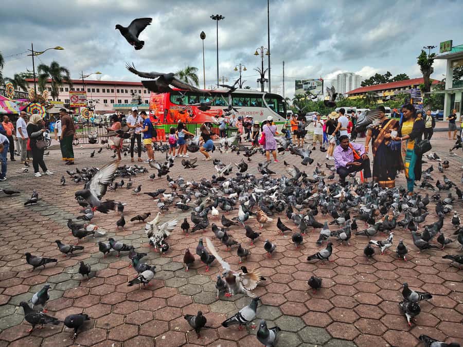 Best of Kuala Lumpur Tour with KL Tower & Batu Caves - What the private guide adds