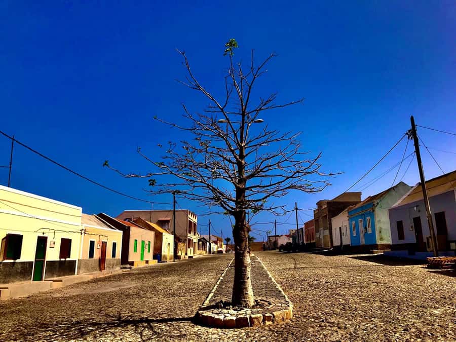 Boa Vista: Santa Monica, Dunes, Caves and Village 4x4 Tour - Varandinha and the caves at Bracona