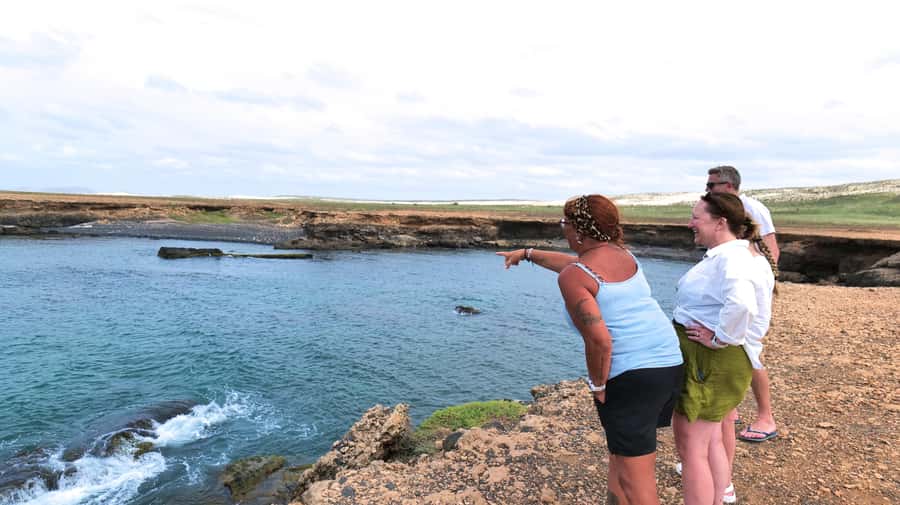 Boa Vista: Shark, Turtles, Cave, Sandboarding & Tasting Tour - Guides, pace, and personal service
