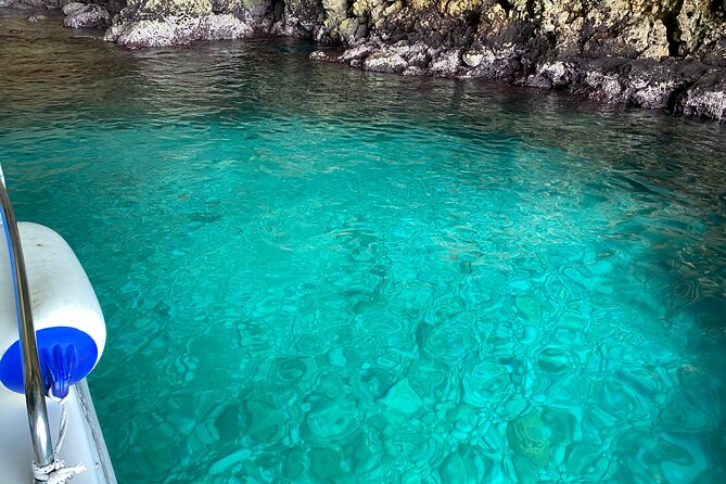 Boat excursion to Polignano a Mare between caves and coves - Francesco sets the tone