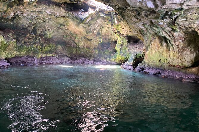 Boat excursion to Polignano a Mare between caves and coves - What the $42.24 price buys you