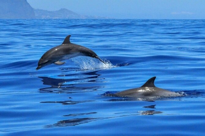 Boat tour Giardini Naxos Taormina Isola Bella Blue Grotto - Isola Bella, a protected island with an unusual past