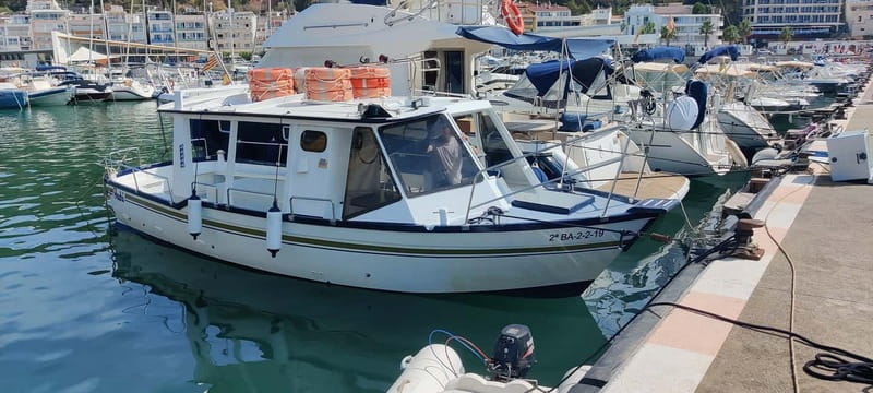 Boat trip to the Medes Islands, caves and stop for swimming - From the harbor to Costa Brava coves
