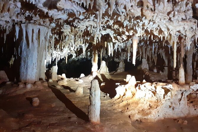 Bonaire Cave Tour: Walk, Climb & Swim - Key points at a glance