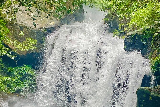 Botanic Garden - Paradise Cave - Zipline - Mudbath at Dark Cave - A full day built around Phong Nha’s best contrasts