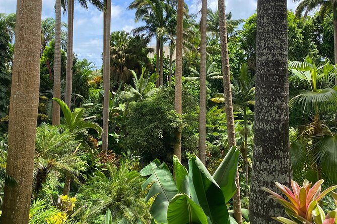 Breathtaking Wonders - Harrisons Cave and Hunte's Gardens - Why this half-day pairing works