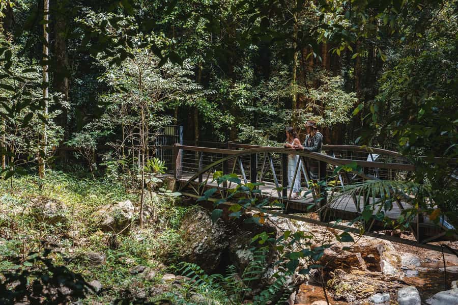 Brisbane: Rainforests, Waterfalls and Glow Worm Cave Tour - Quick take: what makes this day worthwhile