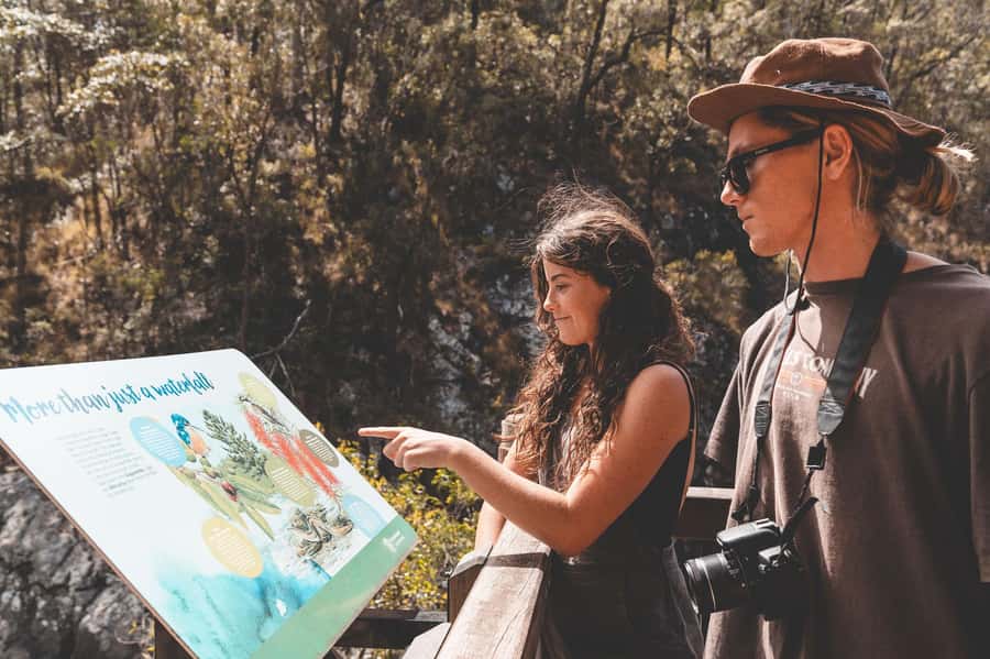 Brisbane: Rainforests, Waterfalls and Glow Worm Cave Tour - Hinze Dam gives you a calm final stop