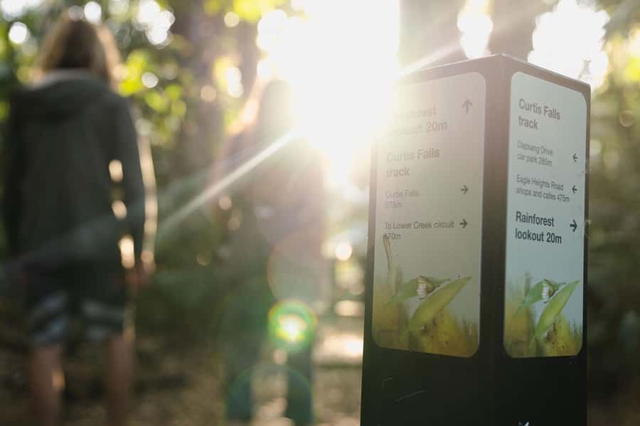 Brisbane: Rainforests, Waterfalls and Glow Worm Cave Tour - Gallery Walk: lunch, shops, and a slower hour