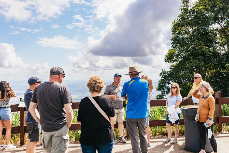 Brisbane: Rainforests, Waterfalls and Glow Worm Cave Tour - Numinbah Valley and the road to Springbrook