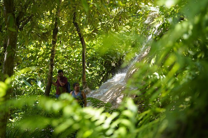 Bua Tong Waterfall Adventure& Huge Cave included Thai Buffet Tour - Who will enjoy this Chiang Mai outing