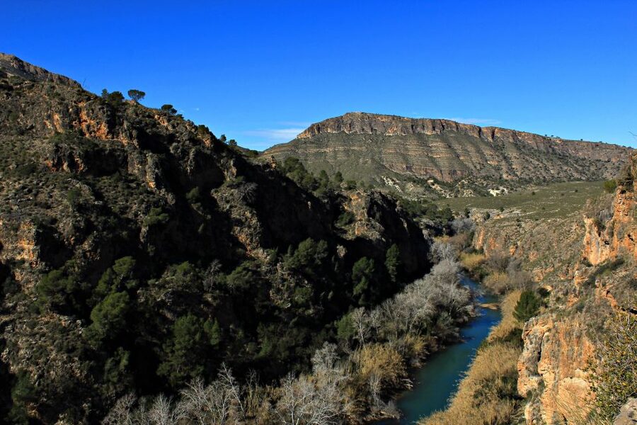 Calasparra: Almadenes Canyon Rafting with Caves and Rock Art - The guides and language support