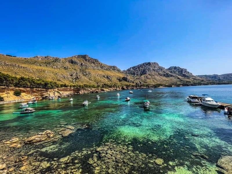 Can Picafort: 2-Hour Boat Tour with Snorkeling & Sea Caves - Who will enjoy this private outing most