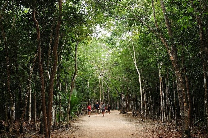 Cancun ATV Adventure, Horseback Riding, Zip Lines, and Cenote - Zip lines, bridges, and the spider web