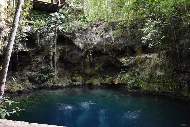 Cancun: Discover the Hidden Treasures: Exploring 3 Jungle Cenotes - First stop: an easy start in cool, clear water