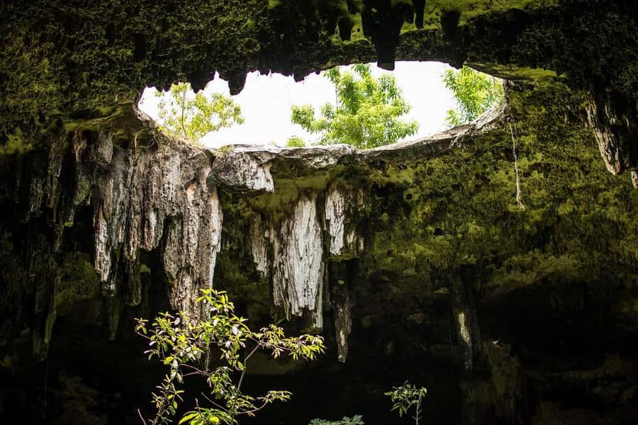 Cancun in its entirety: Chichen Itza ruins, cenote, and Valladolid - Should you book it?