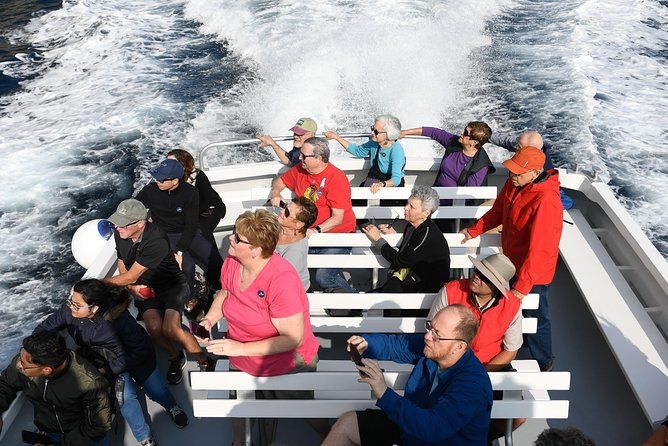 Capri Coast to Coast: Boat Tour with Optional Blue Grotto - FAQ