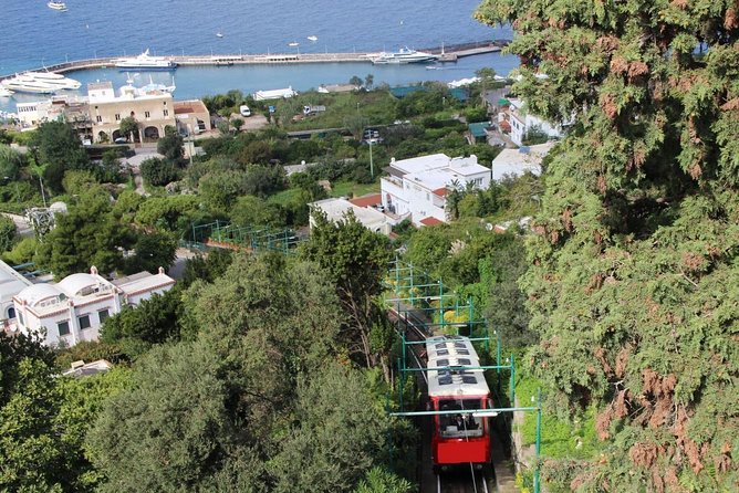 CAPRI - DIY Day Trip Package - BoatTour, BlueGrotto,Bus&Lunch - Stop for a full meal at La Giara