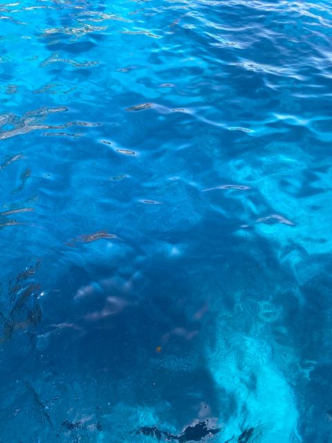Capri: Tour of the island with caves and Faraglioni - A swim in one of Capri’s coves