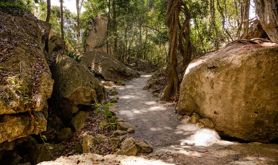 Capricorn Caves, Australia: 45-Minute Cathedral Cave Tour - Key points to know before you go