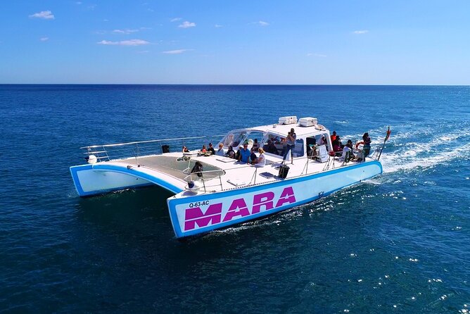 Catamaran BBQ on the Beach: Cruise to Benagil Caves - Timing, weather, and cancellation details