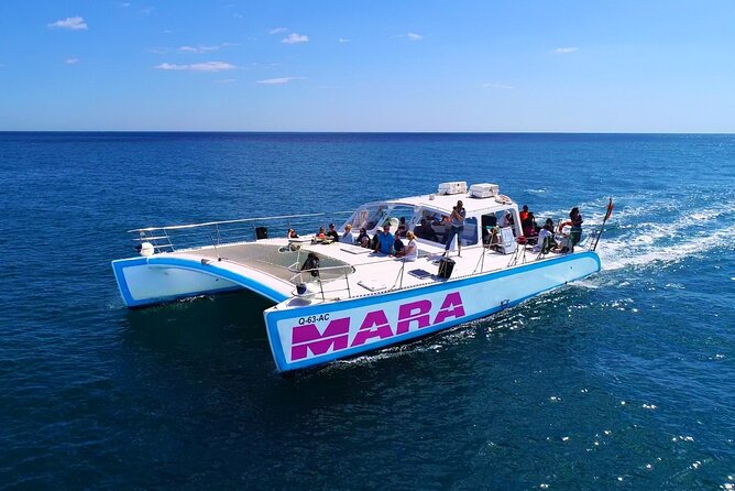 Catamaran Cruise: Caves and Coastline to Benagil - What the $36.30 price delivers