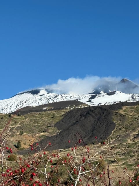 Catania: Morning Jeep Tour of Mount Etna and Lava Flow Caves - Price, group size, and what you receive