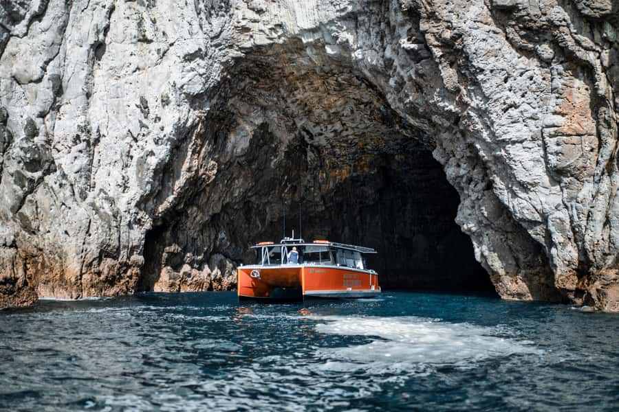 Cathedral Cove Coast and Cave Tour - Cathedral Cove from the water