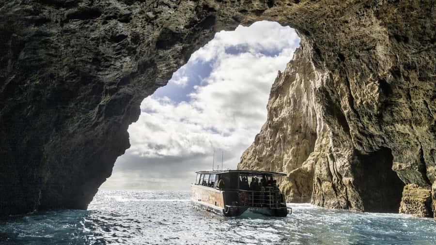 Cathedral Cove Coast and Cave Tour - Should you book the Cathedral Cove Coast and Cave Tour?