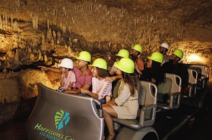 Cave & Monkey Zipline Experience at Harrison's Cave by Chukka - The nature trail, aviary, and rum stop