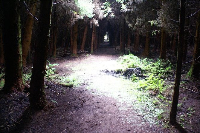 Cave Tour in Terceira - Transport, timing, and physical effort