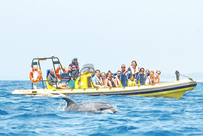 Caves and Dolphin Watching Cruise from Albufeira - Praia de São Rafael and Praia da Coelhinha