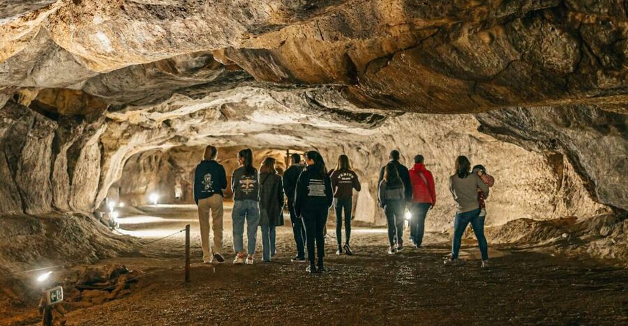 Caves prehistory of Esplugues Francolí with hotel pickup - Why a 37,000-year-old cave matters