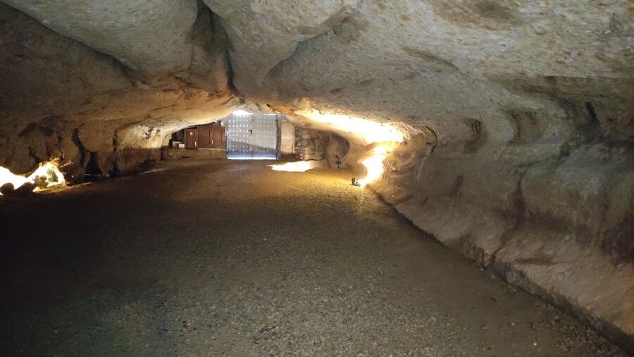 Caves prehistory of Esplugues Francolí with hotel pickup - Who should book this cave excursion?