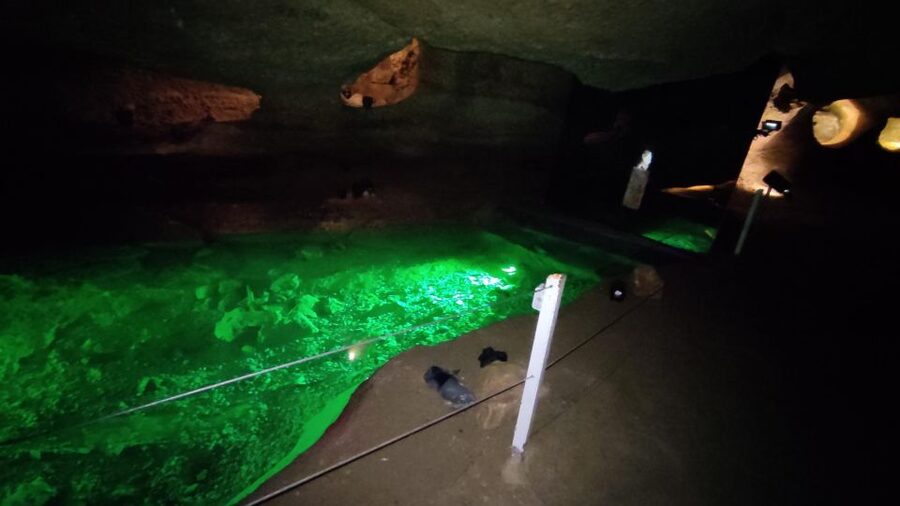 Caves prehistory of Esplugues Francolí with hotel pickup - Practical planning before you go