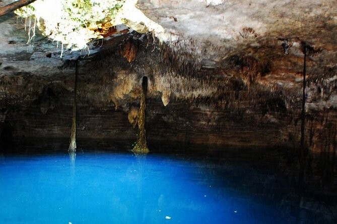 Cenote La Noria Tour + Jewelry Shopping Tour + Tequilera - Cenote La Noria is the reason to go