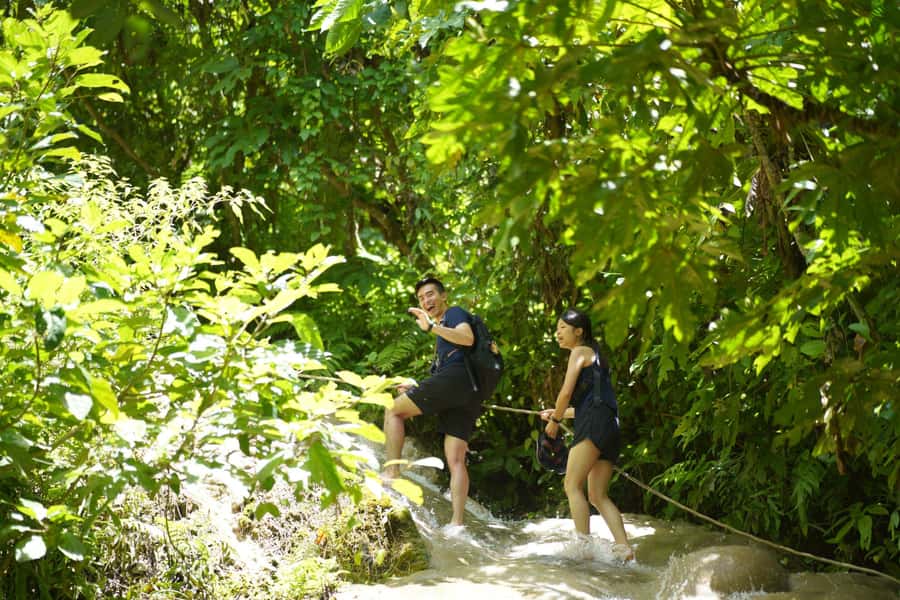 Chiang Mai: Bua Thong Sticky Waterfall & Huge Cave & Buffet - Key points to know before you go