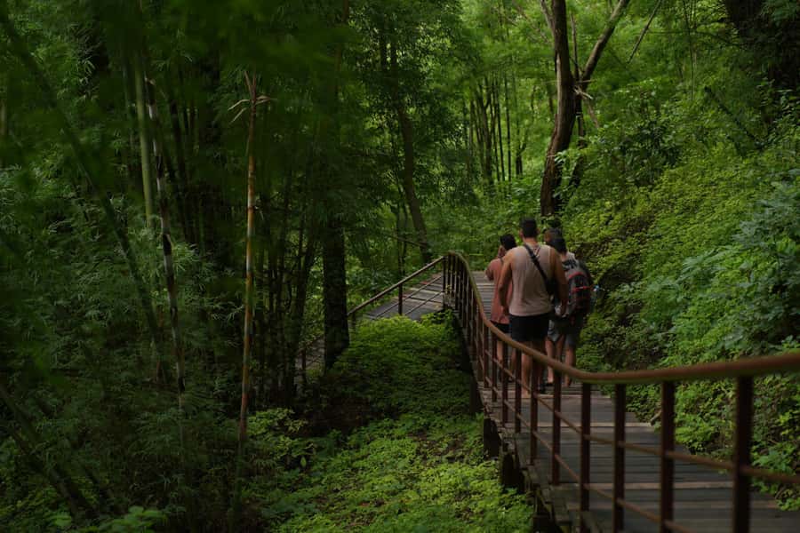 Chiang Mai: Bua Thong Sticky Waterfall & Huge Cave & Buffet - Who should book this Chiang Mai day trip?