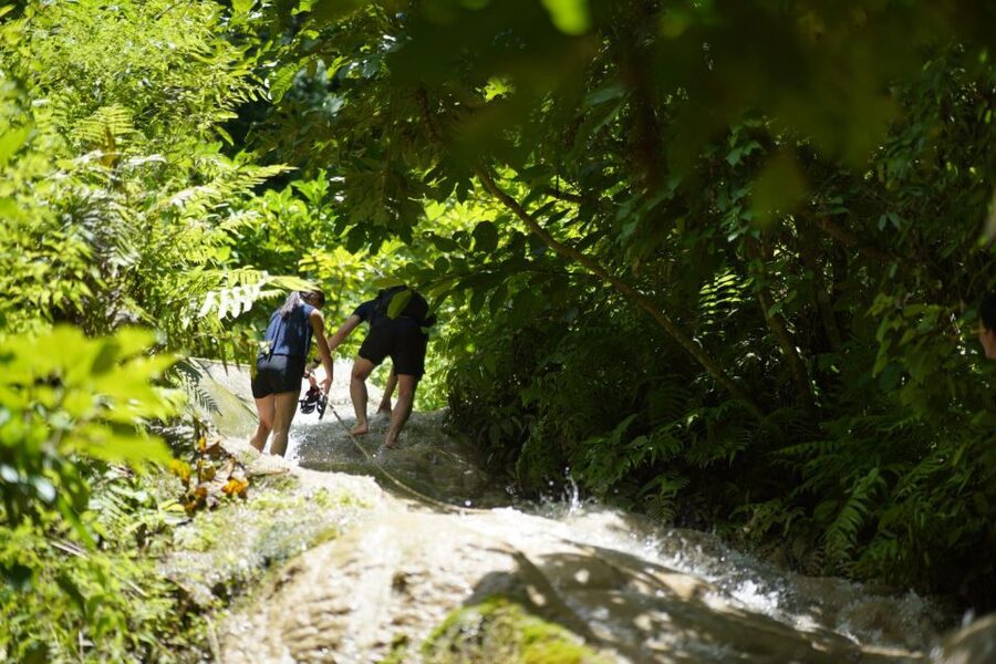 Chiang Mai: Bua Thong Sticky Waterfall & Huge Cave & Buffet - Lunch, fruit and the practical value of the package