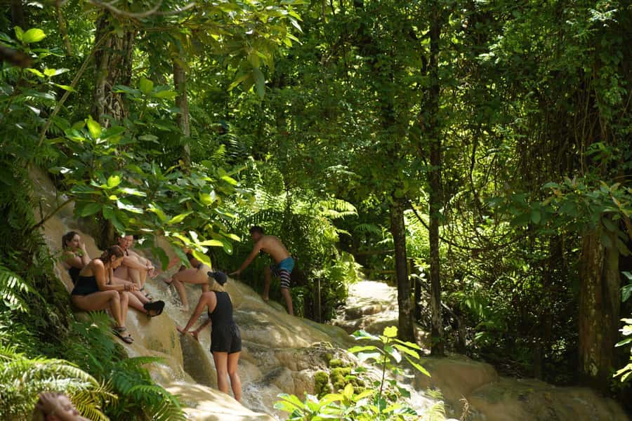 Chiang Mai: Bua Thong Sticky Waterfall & Huge Cave & Buffet - Guides, photos and safety help