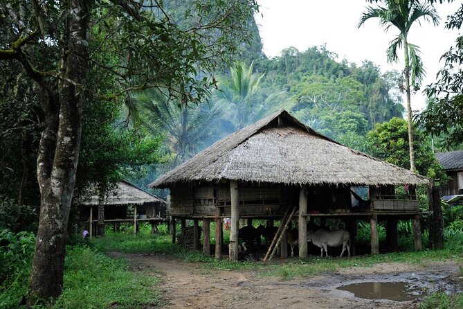 Chiang Mai Day Tour: Chiang Dao Cave and Hill Tribes - Ban Huai I-Ko brings the cultural focus