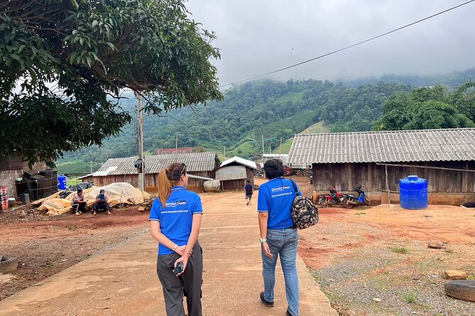 Chiang Mai Day Tour: Chiang Dao Cave and Hill Tribes - Transport and timing from Chiang Mai