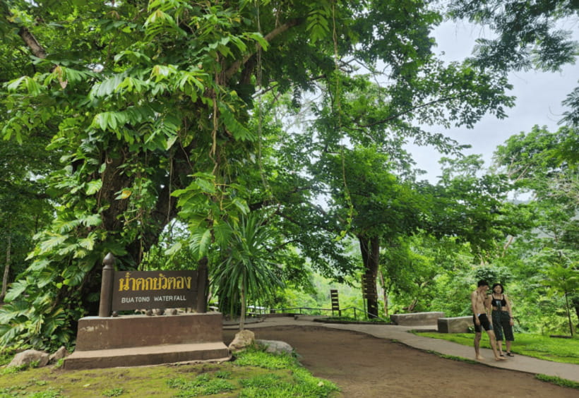 Chiang Mai: Sticky Waterfall, Bua Tong Cave Join Tour - Two and a half hours climbing Bua Tong