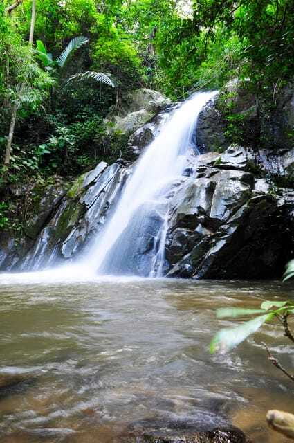 Chiang Mai: Sticky Waterfall & Caves Tour w/ Treehouse Stay - Transport, group size, and what is included